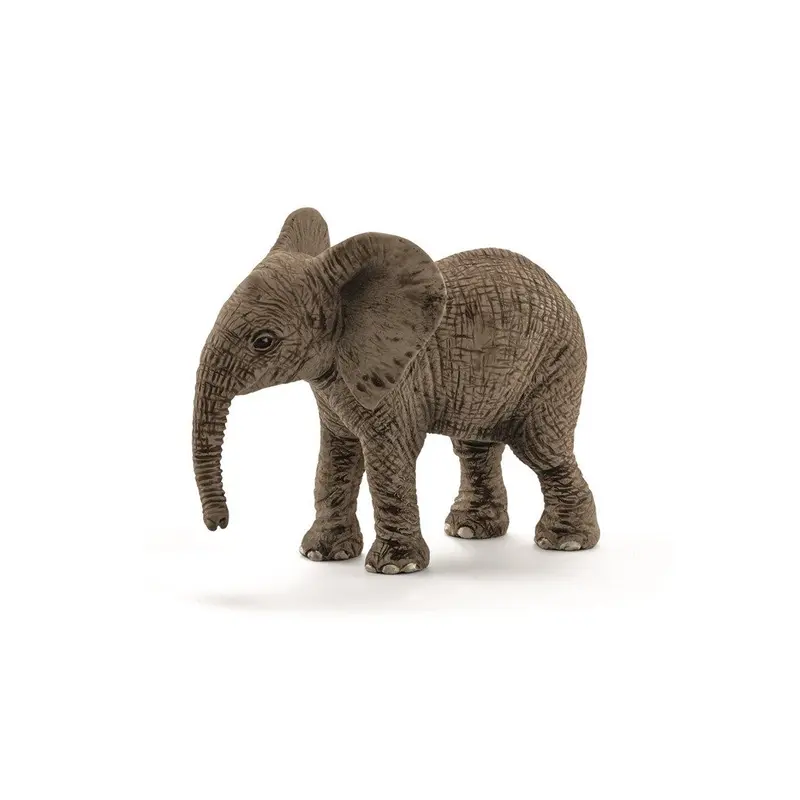 Afrikansk elefant kalv