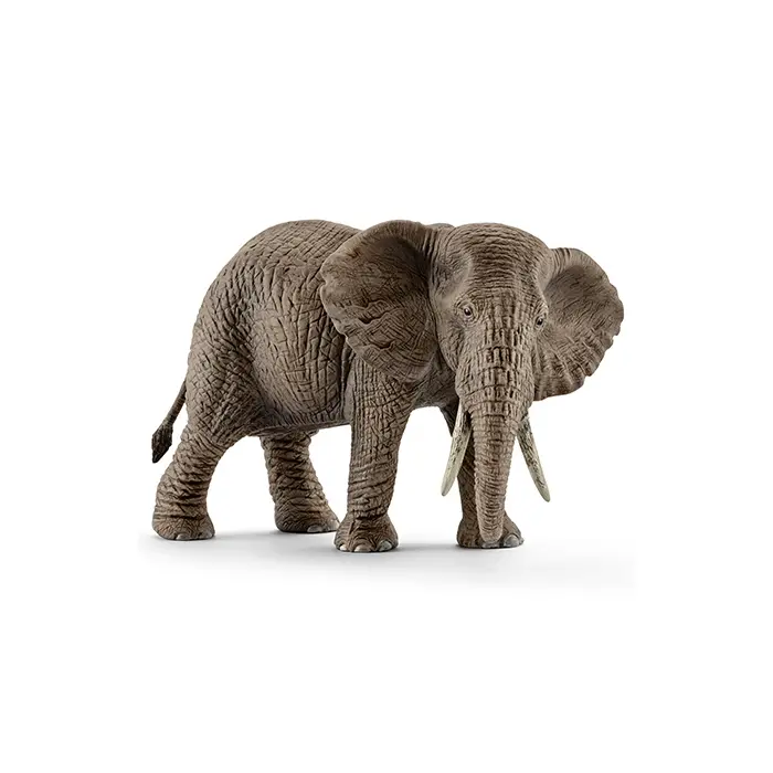 Afrikansk hun elefant