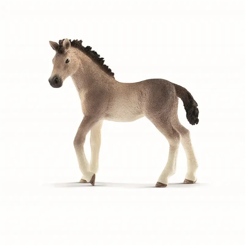 Andalusian føl
