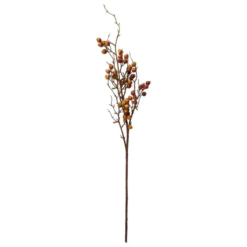 Bærgren / stilk 91 cm