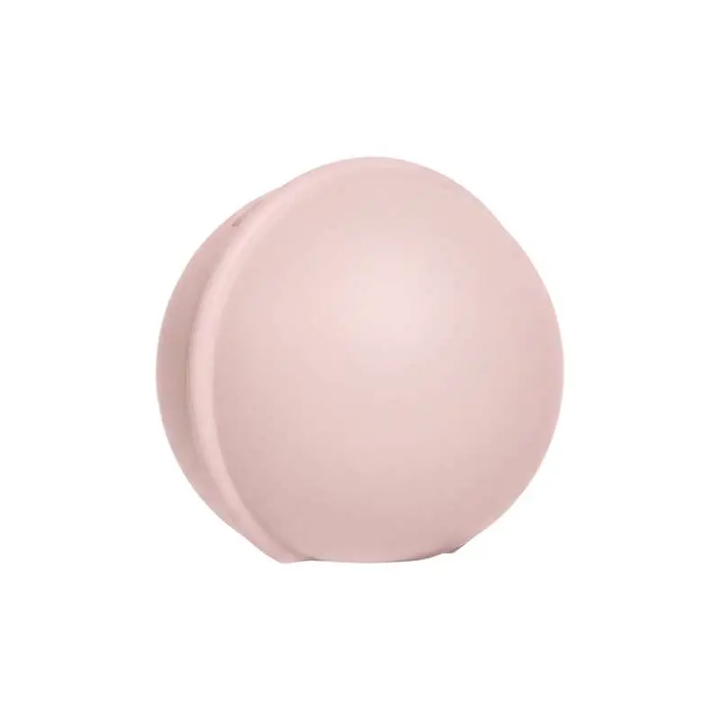 BIBS Accessories - Pacifier Case Mini - Sutteboks til 1 Sut - Petal