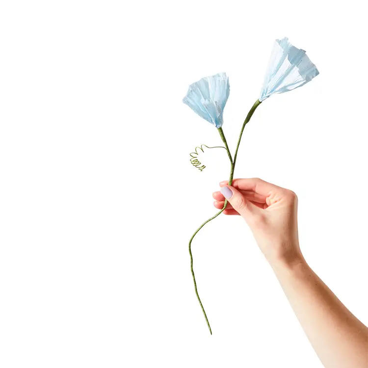 Blue Morning Glory | Papirblomst