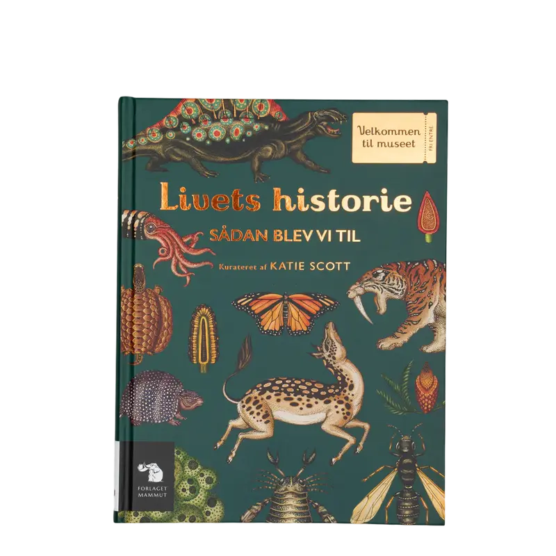 Bog, Livets historie