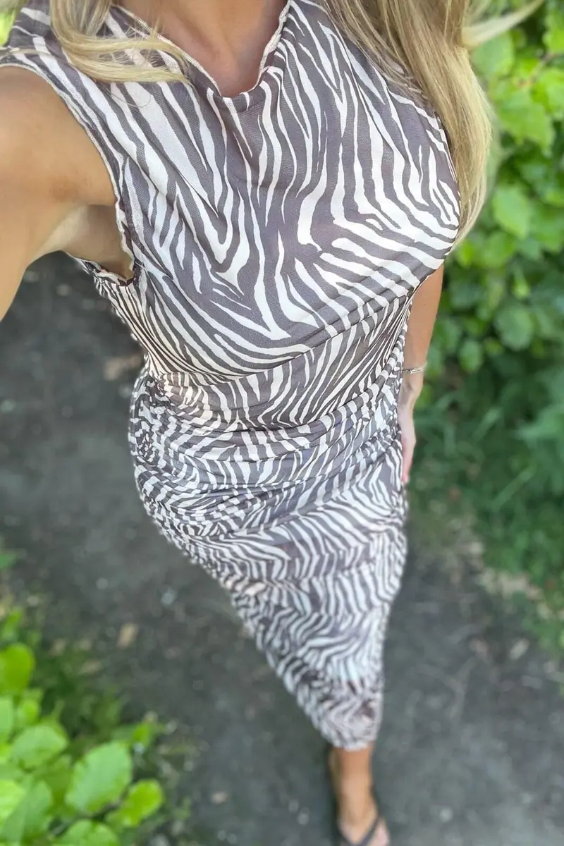BYIC - Miraic Mesh Dress A23631 - Brown Zebra