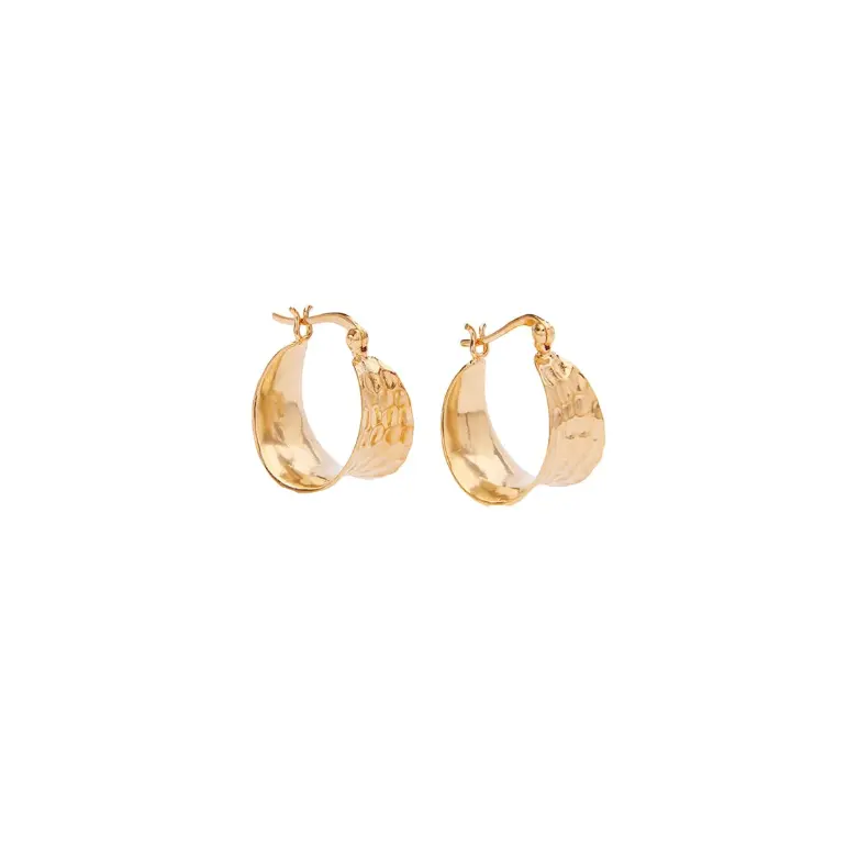 Cleo Petit Hoops