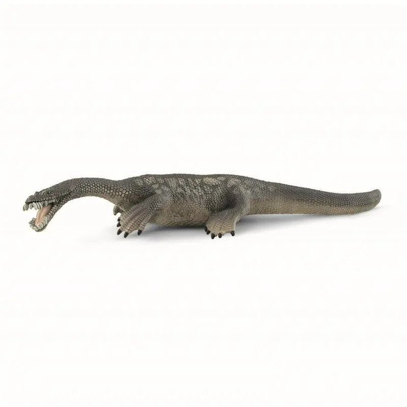 Dinosaur, Nothosaurus