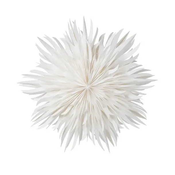 Eldig 70 White