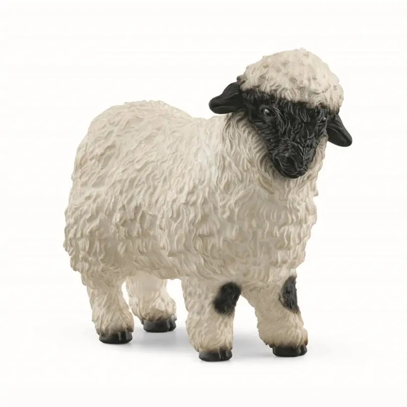 Får, blacknose
