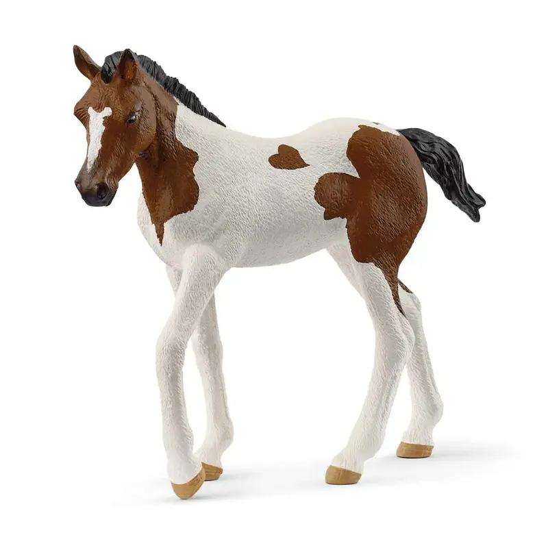 FØL, PAINT-HORSE