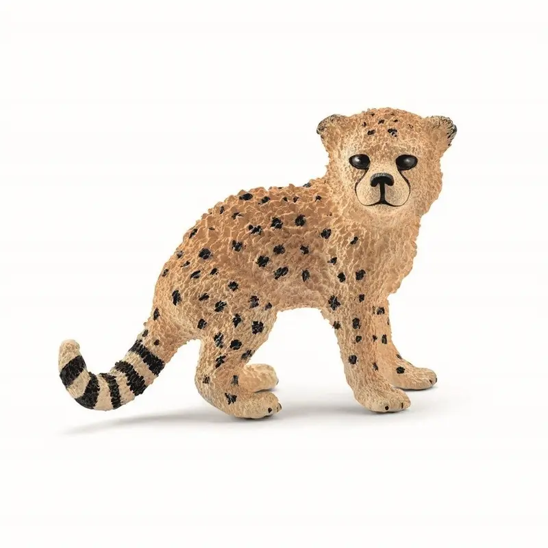 Gepard unge