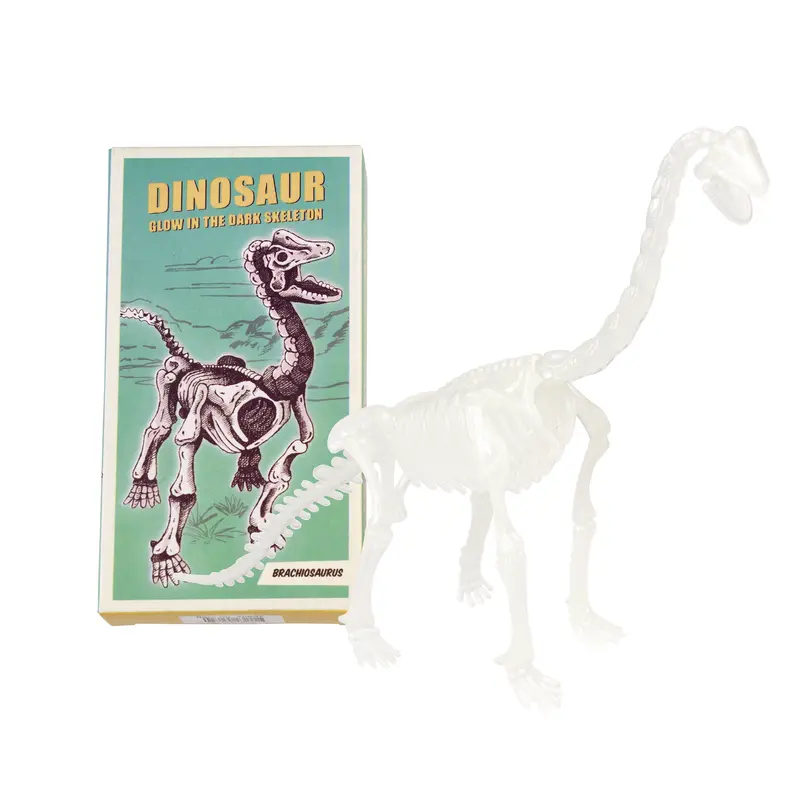 Glow-in-the-Dark Dinosaur Skeleton Kit