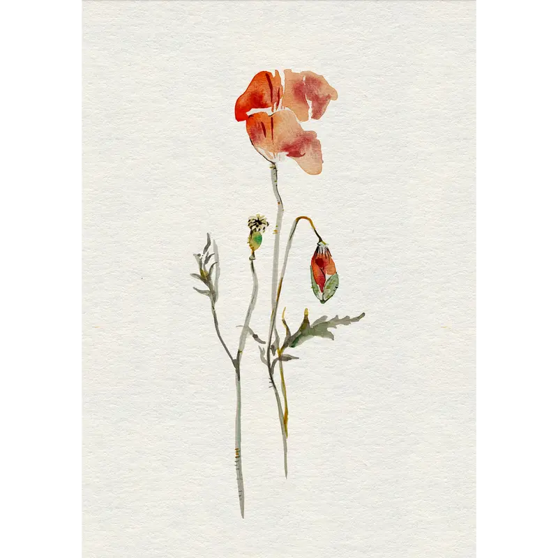 Greeting Card – Flower