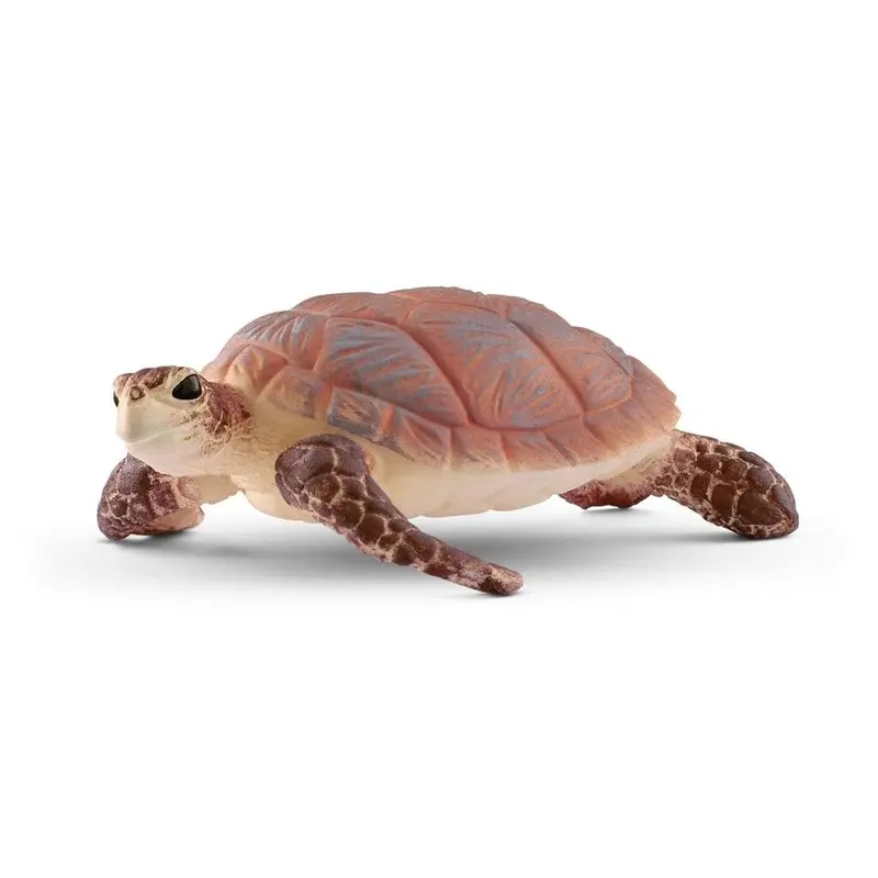 Havskildpadde