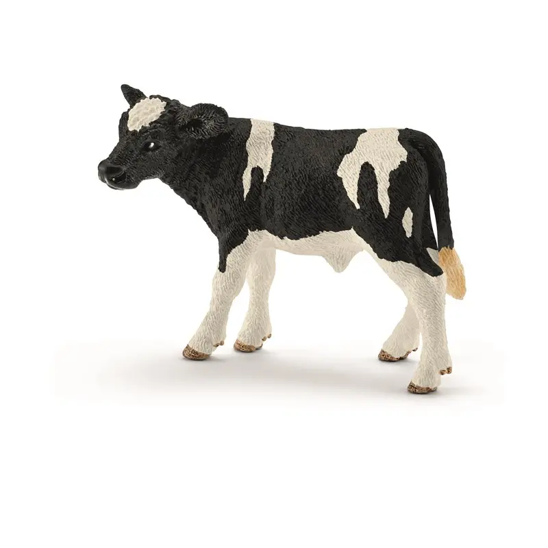 Holstein kalv
