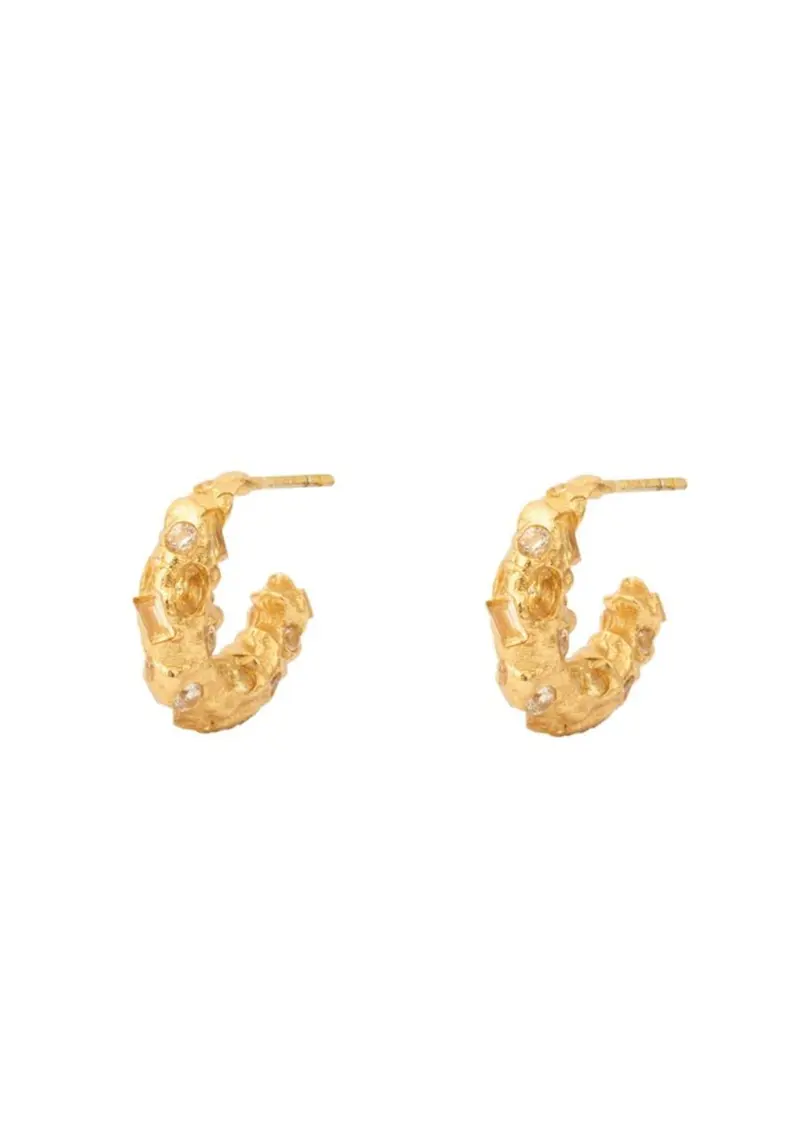 House Of Vincent - Trinket Hoop Earrings VJ194-UEG-Y - Gilded