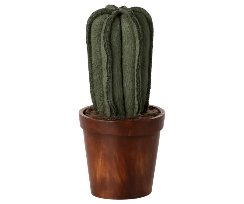 KAKTUS I KRUKKE
