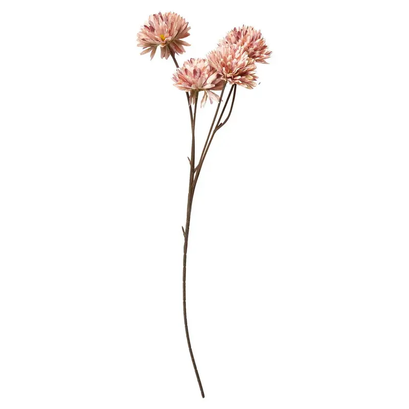 Krysantemum / Rose / stilk 53 cm