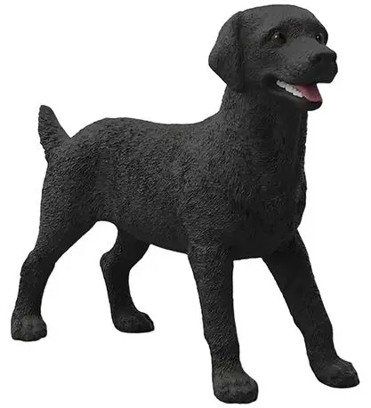Labrador Hvalp