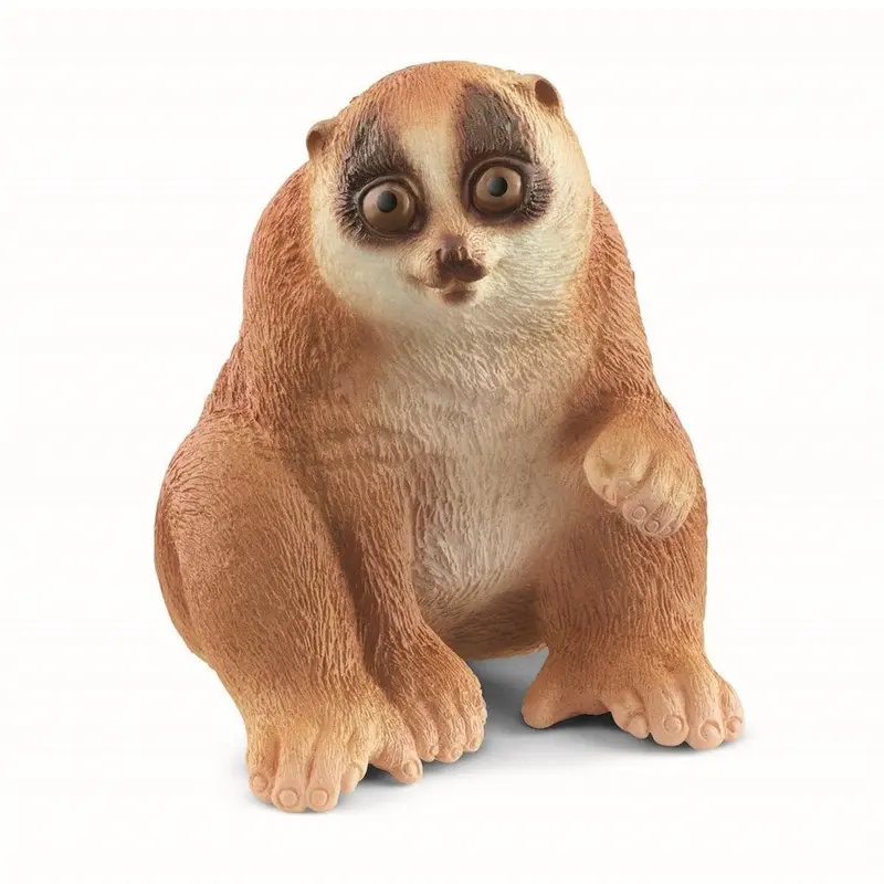 Langsomme Loris