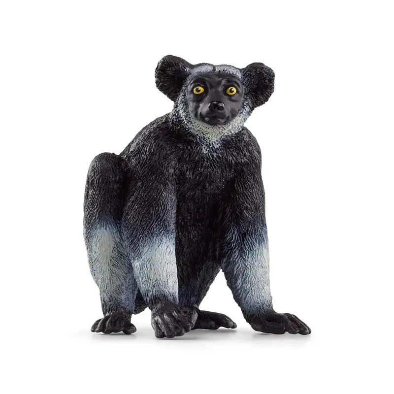 LEMUR, INDRI