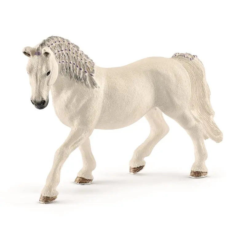 Lipizzaner hest