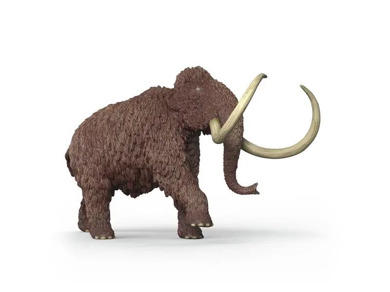 Mammut