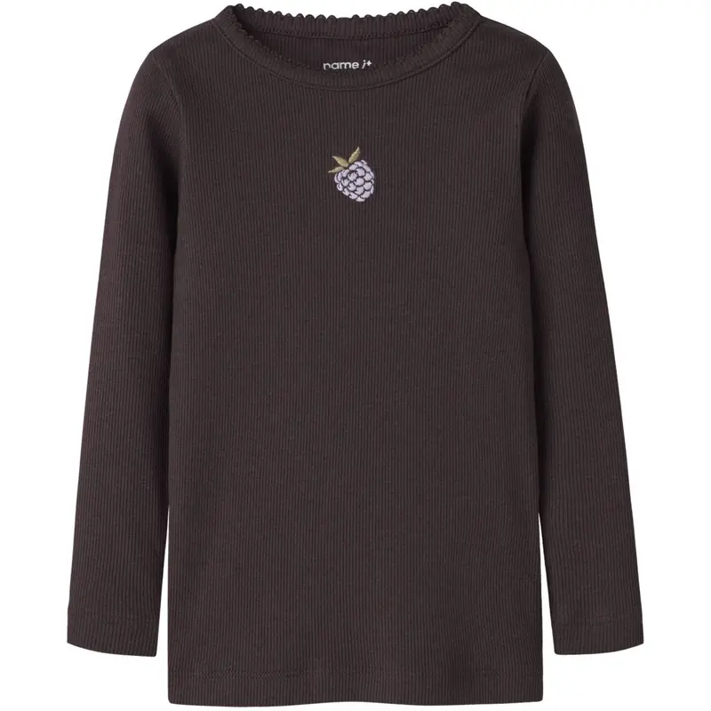 Name It Chocolate Plum Nmfonaya Ls Xsl Top Box