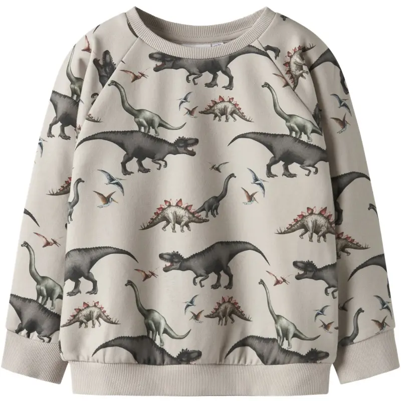 Name It Pumice Stone Nmmbertil Ls Nreg Sweat Bru