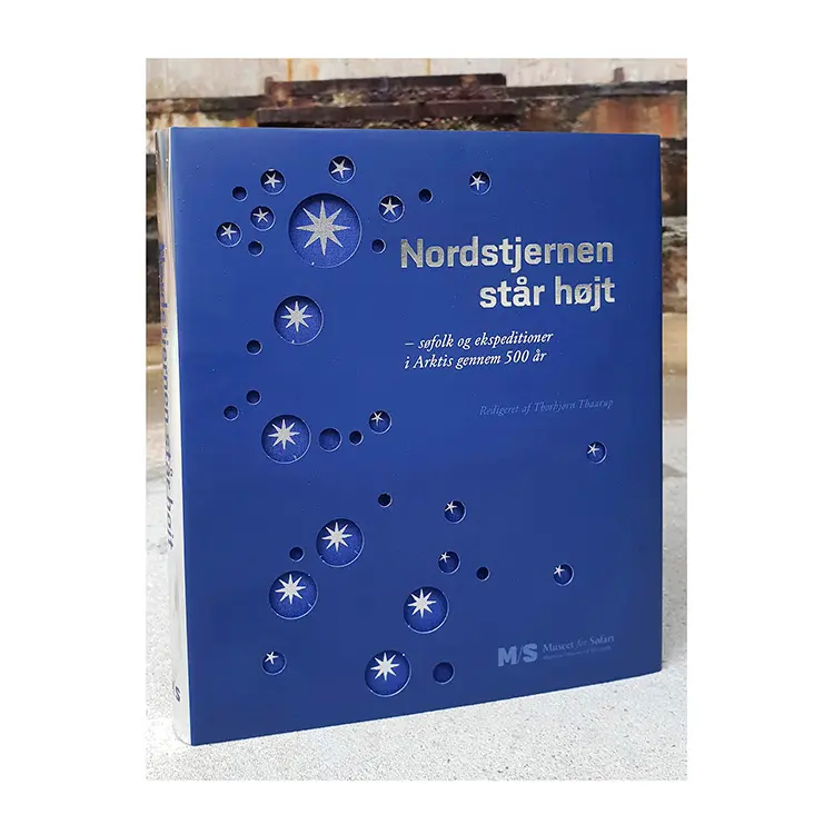 Nordstjernen står højt