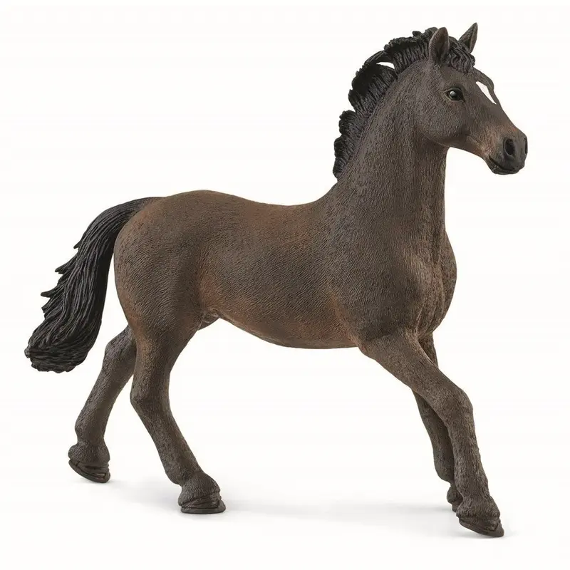 Oldenburg hingst