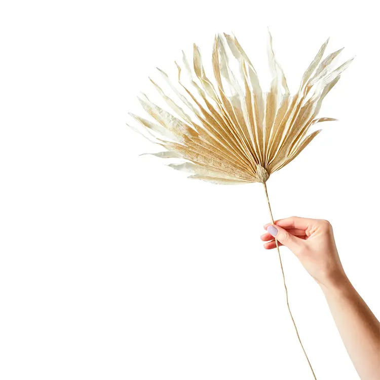 Palm | Papirblomst