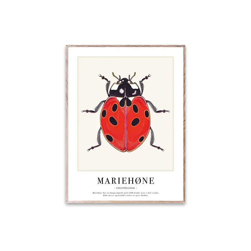 Plakat, Mariehøne
