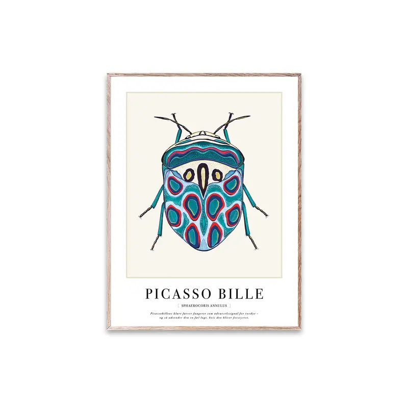 Plakat, Picassobille