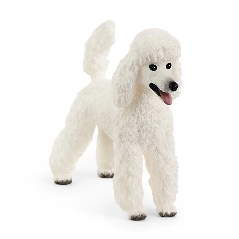 Puddel hund