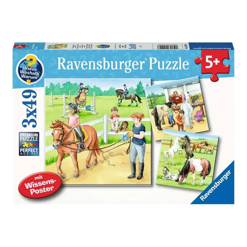 Ravensburger puslespil, Rideskolen 3x49