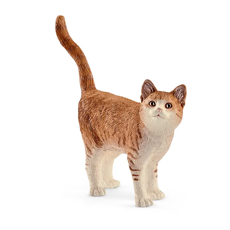 Rødstribet kat