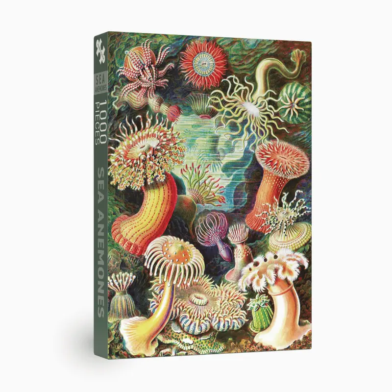 Sea Anemones 1000 brikker vintage puslespil fra Penny Puzzle