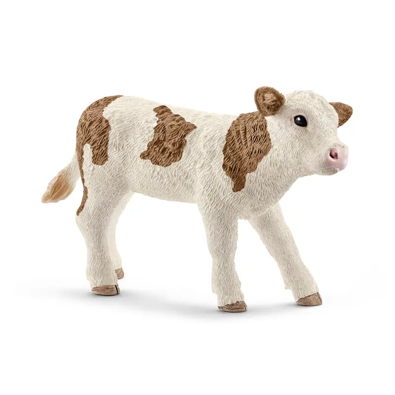 Simmental kalv