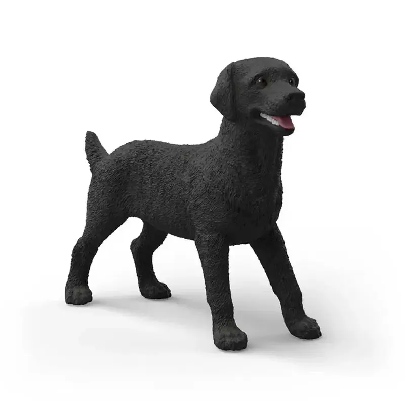 Sort Labrador