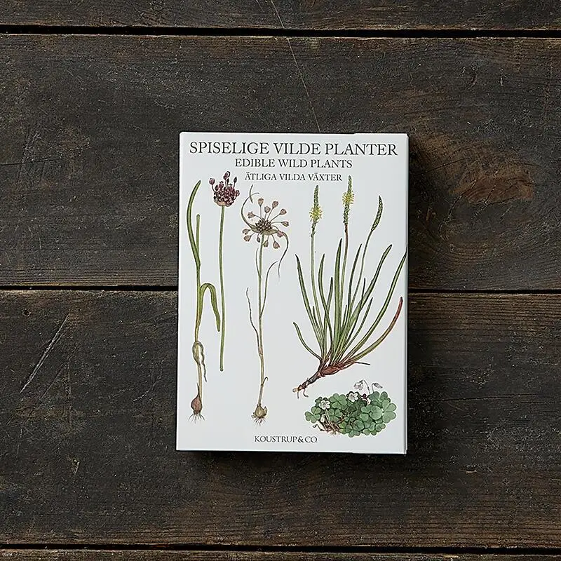 Spiselige vilde Planter / 8 kort