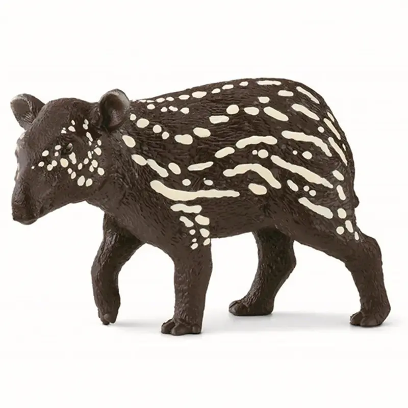 TAPIR UNGE