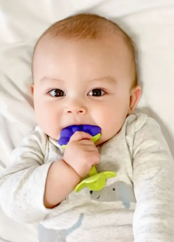 Teethin’ Smart EZ Grip Fruit Teether