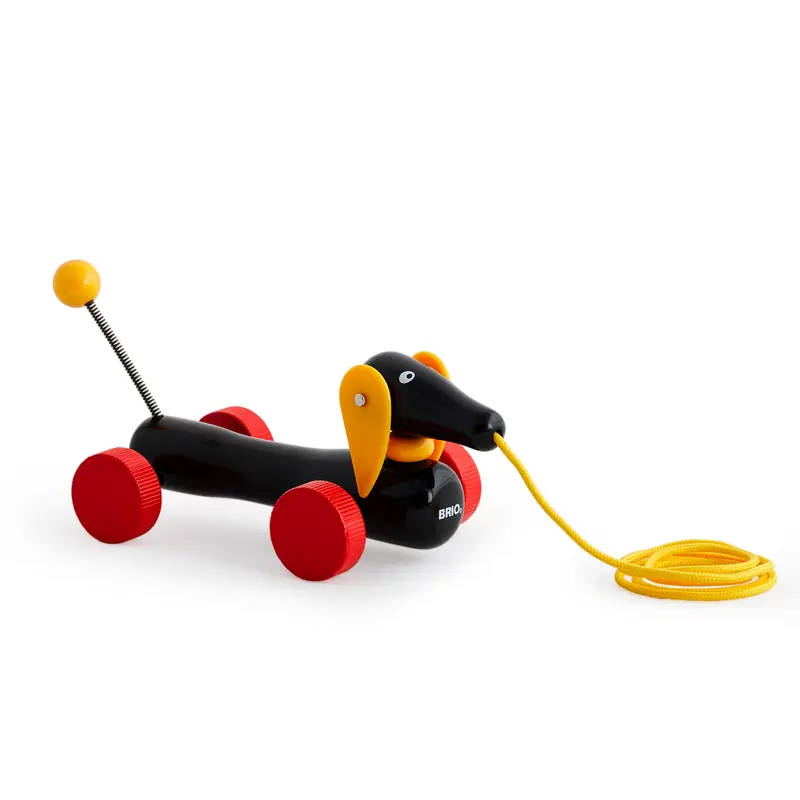 Trækdyr, Dachsie hund