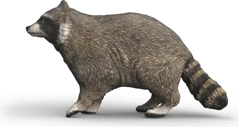 Vaskebjørn