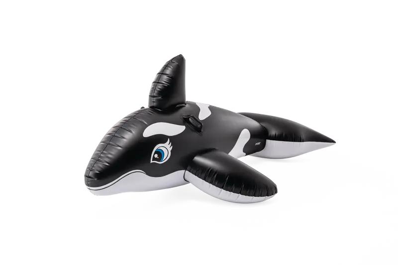 Whale Ride-On